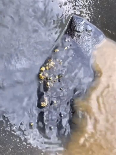 Discovering Hidden Treasures with Diggers