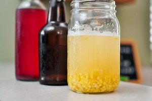 How to Make a Ginger Bug for Homemade Soda - The Fermentation Adventure