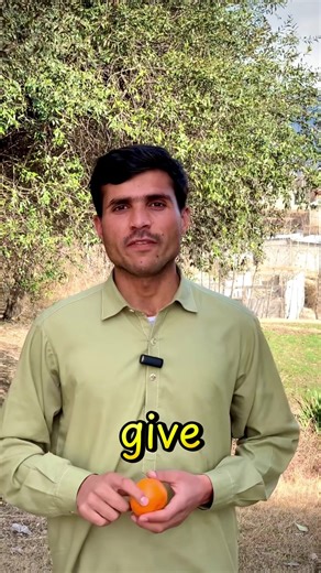 Translate Pashto Sentences to English Easily