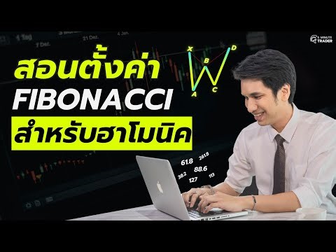 วิธีตั้งค่า Fibonacci สำหรับ Harmonic Pattern แบบครบจบ