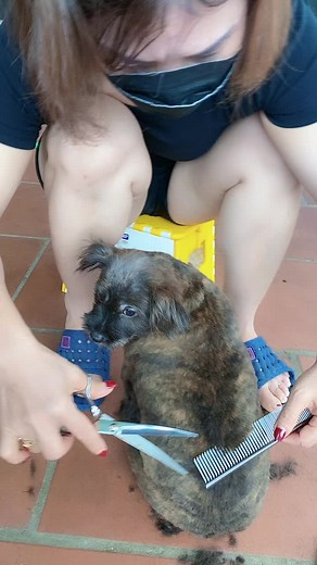 Nguyễn Chiến53097 trên TikTok