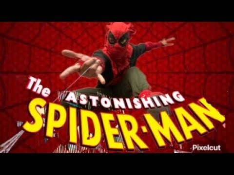 The Ashtonishing Spider-Man Fan Flim