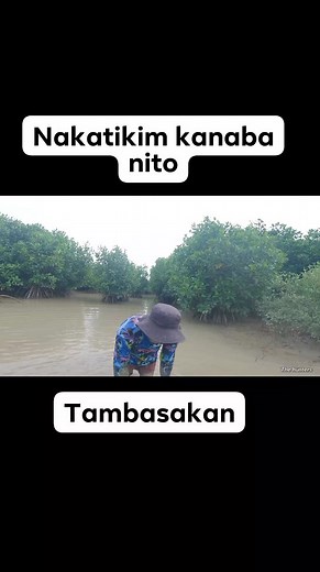 kilala nyo #seafoods #buhayilog #probinsya #lowtide #tambasakan | THE HUNTERS onli in oksi