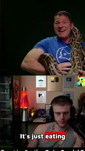 Why Burmese Pythons are Taking Over Florida | Steve Backshall Analysis