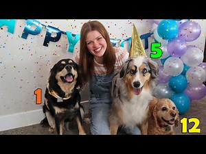 My Dog's FIRST Birthday Party!