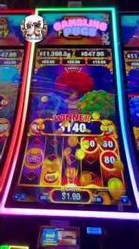 ROBERT vs ALISA Fortune Frenzy #gambling #casino #slots #shorts