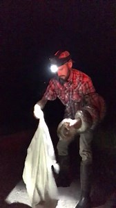 Python Cowboy Hunts on Reels