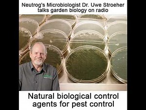 Neutrog TV | What is Trichoderma and what can it do for your garden? + GOGO Juice