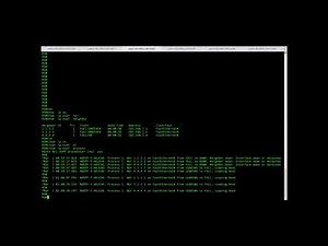3 19 OSPF network types explained | CCNA 200-301