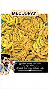 සැගවුණු රූපය හොයා ගන්න