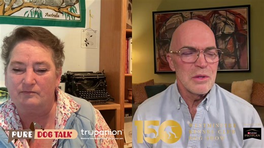 Join us Live to discuss the 150th Westminster Kennel Club Dog Show! | Westminster Kennel Club Dog Show