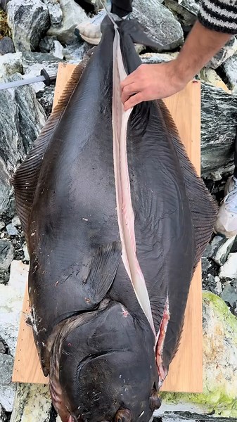 How to Fillet a Halibut: Step-by-Step Guide