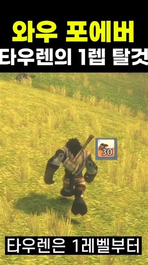 1렙부터 탈것있는 캐릭터 | 와우 포에버