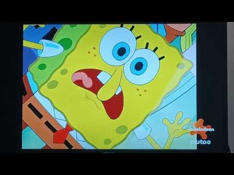 They Arrived At Texas Until A Frog Pops The Bubble 😮‍💨😮‍💨