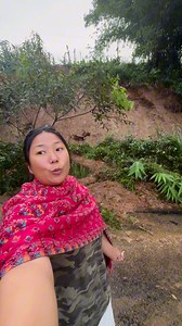 318K views · 10K reactions | अबस्था यस्तो छकाभ्रे दाप्चा को अब के गर्ने | उमा चाम्लिङ राई | Facebook