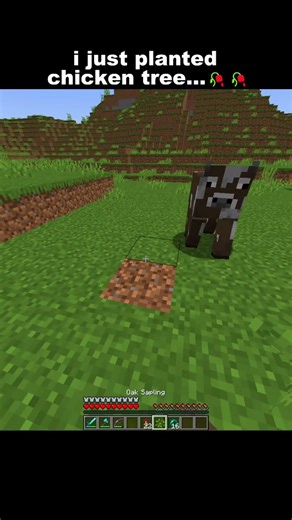 I Just Planted Chicken Tree.. #minecraft