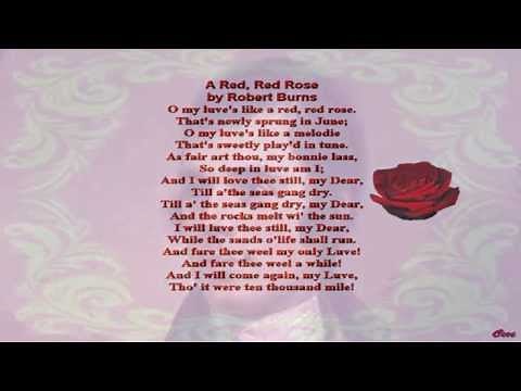 A Red Red Rose by Robert Burns (read by Tom O'Bedlam)