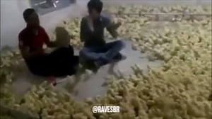 357K views · 5.3K reactions | Quando começa o prog e todo mundo corre pro front!  | Raves BR | Facebook