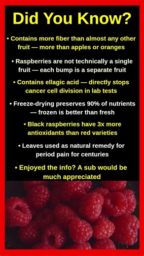 Shocking Facts About Raspberries That Will Blow Your Mind 🍓😱