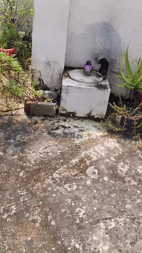 267K views · 16K reactions | From Dust to Divine: Final Mandir Makeover Reveal ✨ | My Peaceful Corner Transformation #MandirMakeover, #TempleTransformation, #DIYHomeDecor, #FromDustToDream, #SpiritualVibes, #BholeNath, #HomeDecorIdeas, #IndianHomeDecor, #MandirDecoration, #PeacefulCorner, #CreativeMakeover, #TransformationSeries, #DivineSpace, #DIYProject,#instagood #viralpost #instalike #instagram #trending #trashtotreasure | Soni Charak | Facebook