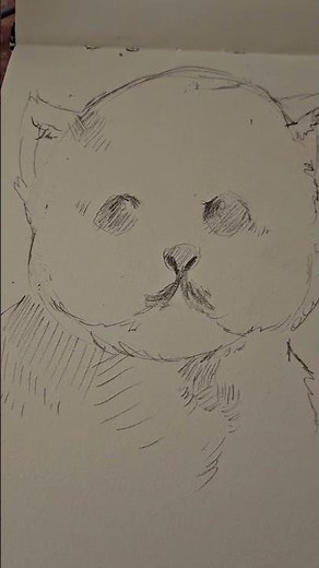 #art #drawing #sketch #doge #puppy #dog #artmemes #artfyp #fyp #doodle #anime #animals