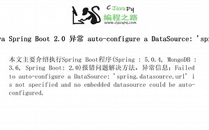 Java Spring Boot 2.0 异常 auto-configure a DataSource: 'spring.datasource.url' is