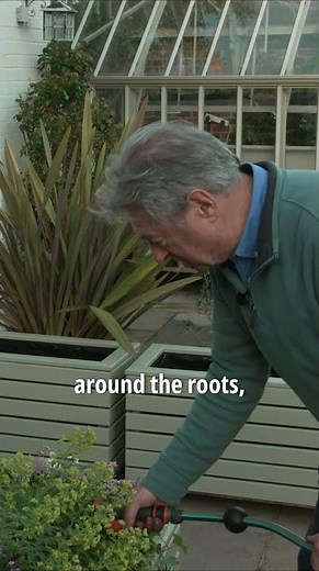 The Biggest Plant Watering Mistake👨‍🌾