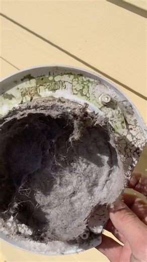 Does your dryer vent cover look like this? #dryervent #laundry #fyp #safety