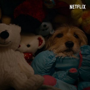 PUPPY!!!!!!!!!!!!!!!! | Netflix