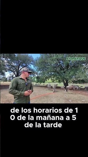 Visita el Bioparque Estrella y conoce más sobre los Ñus #animales