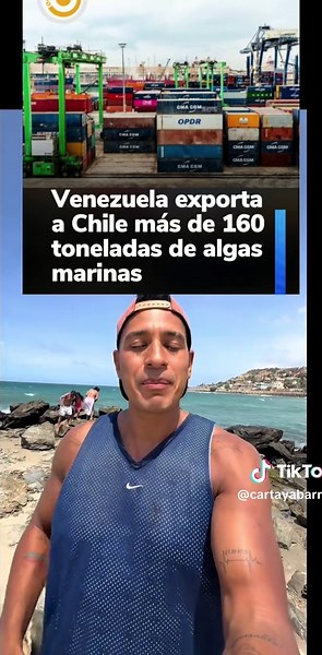 Venezuela exportó 160 toneladas de algas marinas a Chile