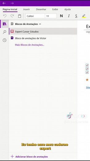 OneNote - o Bloco de Notas da Microsoft 📝 Siga @expert.cursos Conheça todos nossos Cursos Profissionalizantes Certificados do básico ao avançado #onenote #expertcursos #microsoft