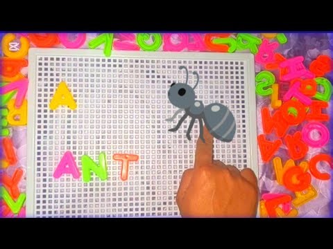 A for Ant | ABC Alphabet Learning for Kids | Kids Learning