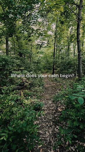 Where does your calm begin? With nature's pure essence. 🌿 Our 'Awaken' Reed Diffuser brings the tranquility of a forest path into your home. Experience nature's calm, crafted in Australia. #GreenNationLife #ReedDiffuser #Awaken #NaturalLiving #HomeFragrance #AustralianMade | Green Nation Life