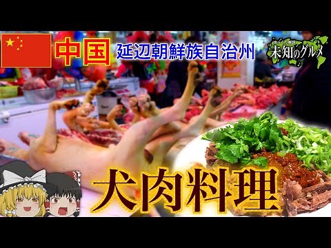 【ゆっくり解説】中国東北部の犬肉料理