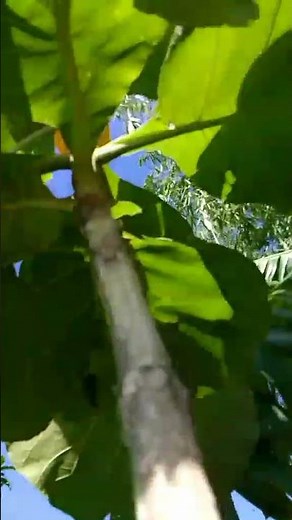 fypppppppppppppppppppppp pppppppppppppppppppppppppppppppppppppppp pppppppppppppppppppppppppppppppppp