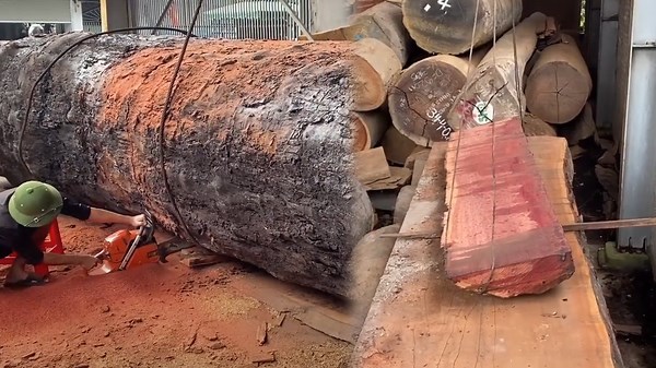 A Closer Look at Utmost Cutting Machines in Deep Forests