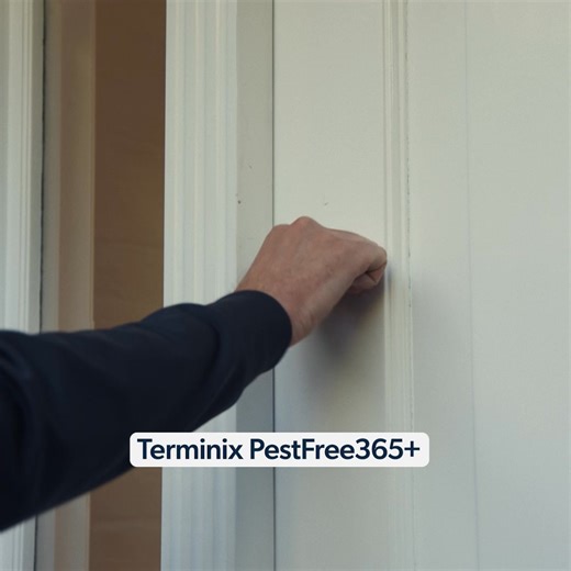 11 reactions | Our PestFree365+ plan covers more pests. | Terminix | Facebook