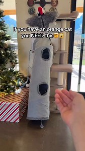 Comment “FLY” and I’ll send you the link for 25% 👜👉🏻 or You can click the website link in my BIO to get 25% OFF (@felocity.shop ) 👈 If you have crazy cats or just need that one new toy, STOP SCROLLING FIRST ✋ Why you should choose FELOCITY for your favorite cat toy brand😌 ✅Stimulate your cats NATURAL hunter instincts ✅A SAFE, reliable and easy to manage play solution ✅The BEST toy to help your cats shed WEIGHT and/or stay ACTIVE Wait, does this toy actually keep my cat engaged and active? Y