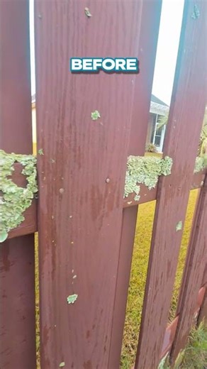 Watch this moldy fence transform in 2 hours! Power washing for a fresh, clean yard #restoration