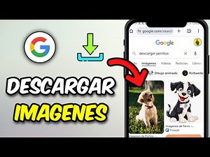How to Download Google Images to Your Gallery on Android - Quick Guide