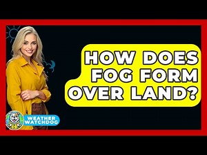 How Does Fog Form Over Land? - Weather Watchdog