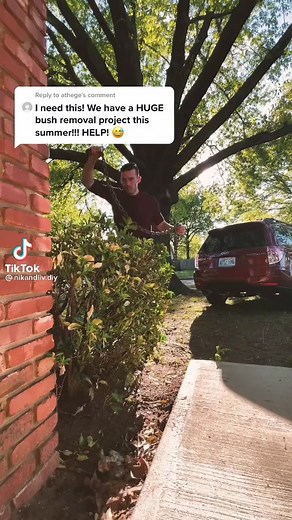 2.2K views | DIY bush removal! #DIY #WorthTheWait #landscape | Nik and Liv DIY | Facebook