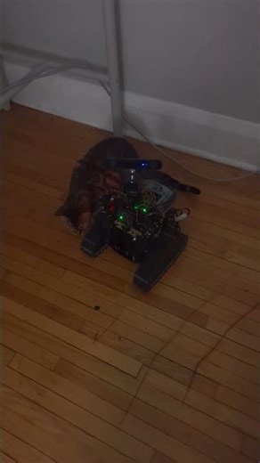 Building an Offline Robot: Floor testing and Tuning begins part 1 #robot #scifi #ai