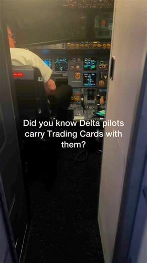 131K views · 78 reactions | Did you know about that!!  This Pilot...