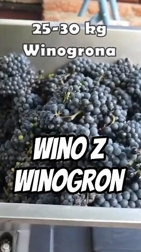 How to Make Homemade Wine Step by Step! Destemming and Pressing