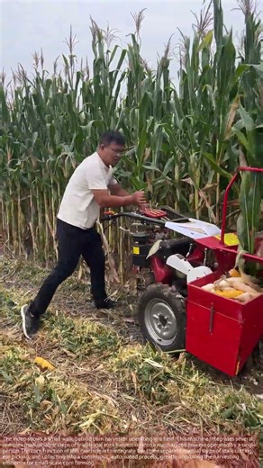 The Smartest Mini Corn Harvester in Action