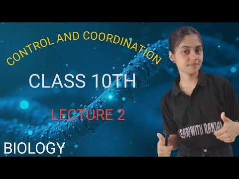 Class 10 Biology | Control and Coordination | Lecture 02 – Neuron Explained
