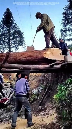 Timeless Techniques: How Carpenters Cut Wood the Old - Fashioned Way