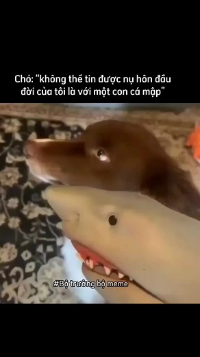 97K views · 849 reactions | “Hồi đó tôi tưởng thế là bình thường” #meme #memes | Bộ Trưởng Bộ Meme | Facebook